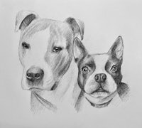 a black and white drawing of a dog and a cat