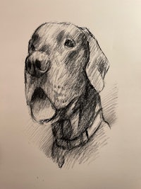 a black and white drawing of a dog