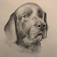 a black and white drawing of a dog