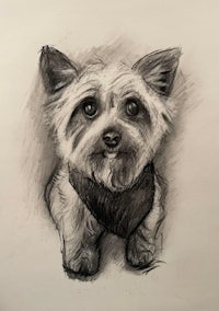 a black and white drawing of a dog wearing a bandana
